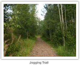 Jogging Trail